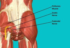 In Nerve therapy manually Impulse is provided externally to all the Nerves & bones